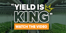 Yield is King, Grow More with Pipp Horticulture!
