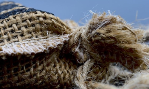 Japan’s Toyoshima invests in US Hemp fibre producer