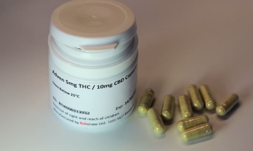 Kansas senate panel tables Medical Cannabis legalization bill