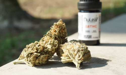 Kentucky Governor signs bill to regulate Delta-8 THC