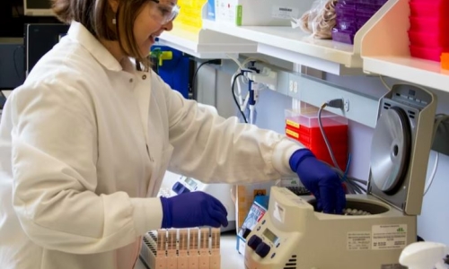 Lawmakers need to address Maryland’s ineffective and discriminatory Cannabis drug testing policies