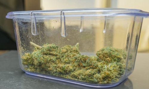 Marijuana products recalled in Arizona for potential fungus contamination