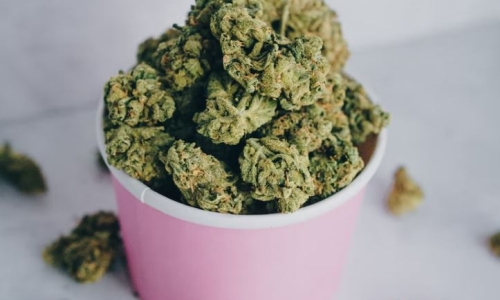Marijuana shortage leads to soaring prices in Missouri