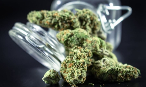 Medical Cannabis bill passes in Kentucky senate committee