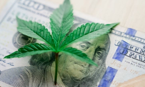 Michigan Cannabis market nets $60M windfall for local governments