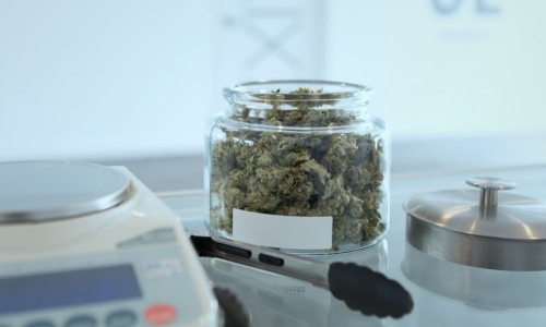 Mississippi lawmakers approve changes to Medical Cannabis law