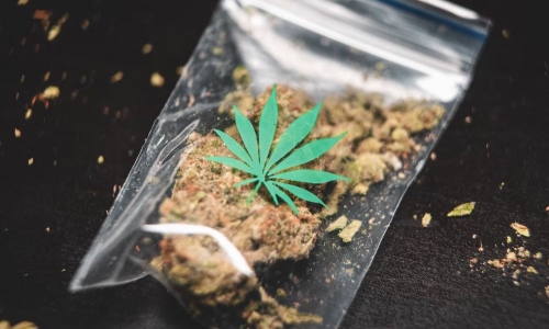 Missouri has 3rd best opening sales month ever among recreationally Legal Cannabis states