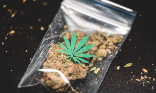 Questions remain about Marijuana sales tax as election nears