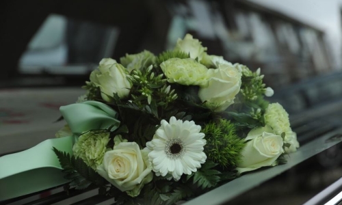 Raphael Mechoulam, the 'father of cannabis research' who discovered THC, has died