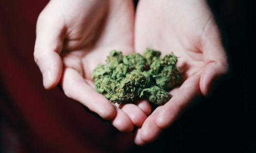 Rewritten Medical Marijuana bill voted down in Georgia Senate