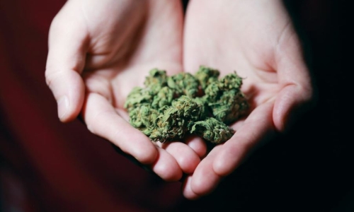 Texas committee unanimously votes to pass decriminalization Bill