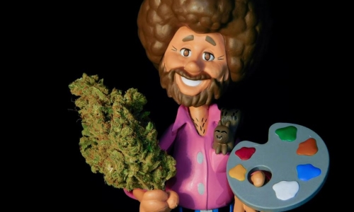 Top 6 Benefits of Cannabis