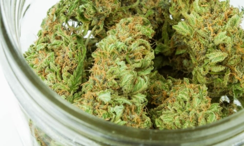 What Minnesota can expect if it legalizes Recreational Marijuana this year