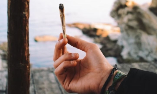 Bill to dismantle Montana adult-use Weed market goes down in flames