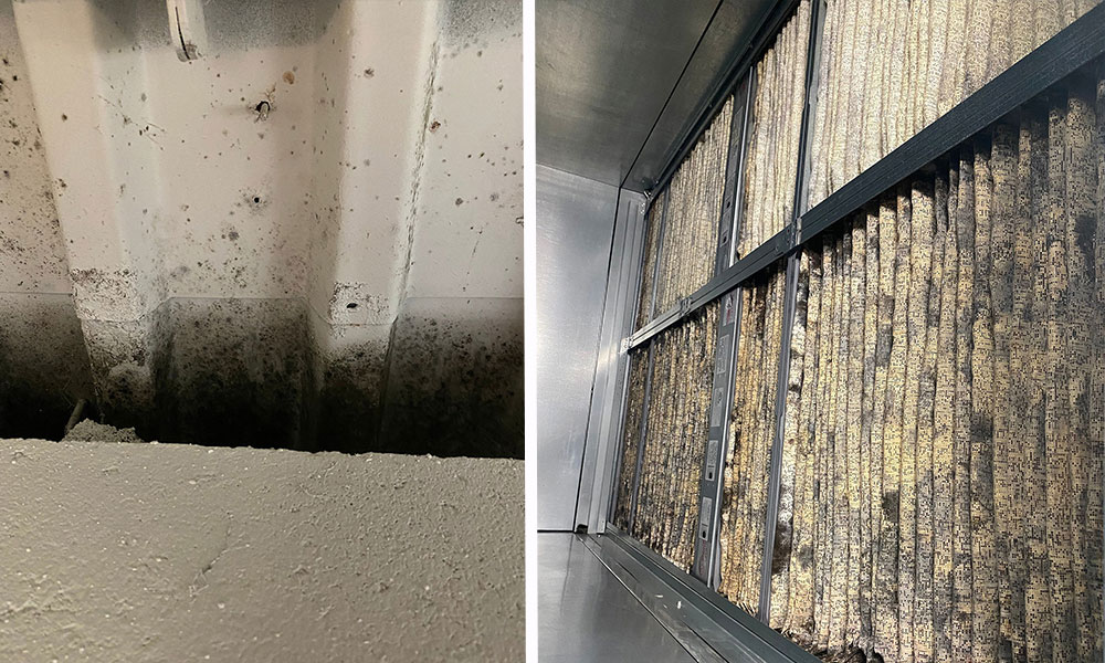 Canna Klean & Remediation