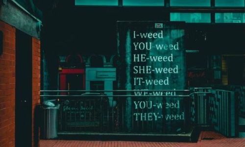 Cannabis use is segmenting and so are the Investment opportunities