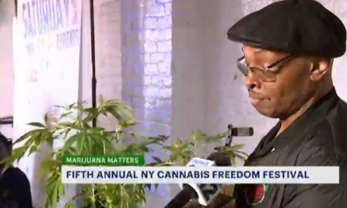 Cannabis vendors celebrate 420 at New York Cannabis freedom festival