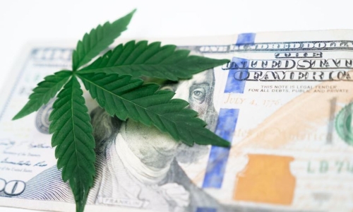 Competing Montana Marijuana revenue bills hinge on conservation funding