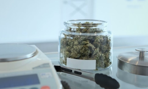 Council approves $64 million for Medical Cannabis business