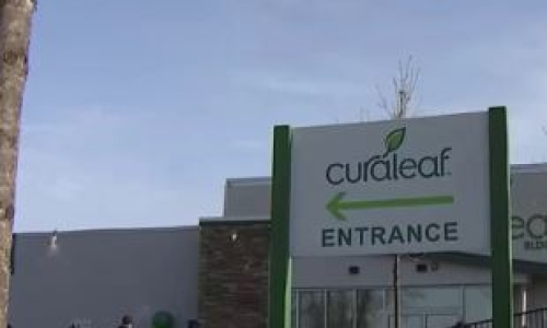 Curaleaf loses licenses to sell Recreational Marijuana