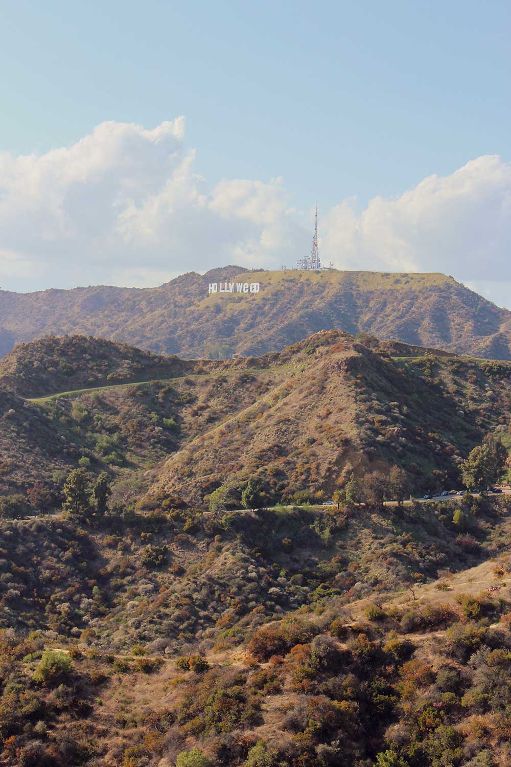 Hollyweed