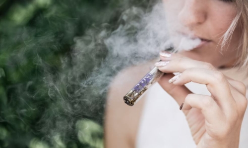 Majority of South Carolina adults support Cannabis