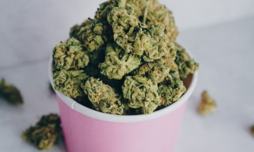 New Mexico recreational Cannabis sales top $300 Million in first year