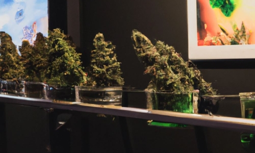 New York just approved 99 more recreational Cannabis shop applications