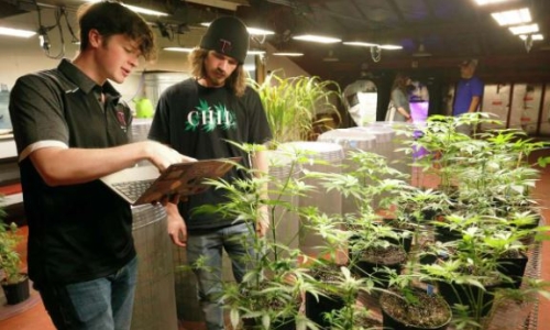 Republican-sponsored medical Marijuana bill seen as pro-weed lobby’s best chance in Texas this year