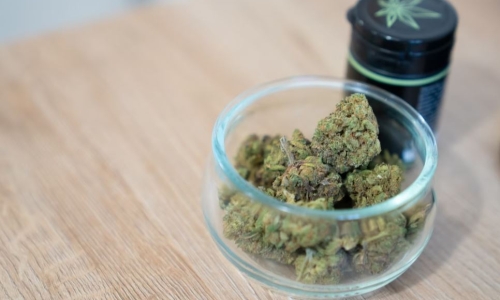 Retail Cannabis often less potent than advertised