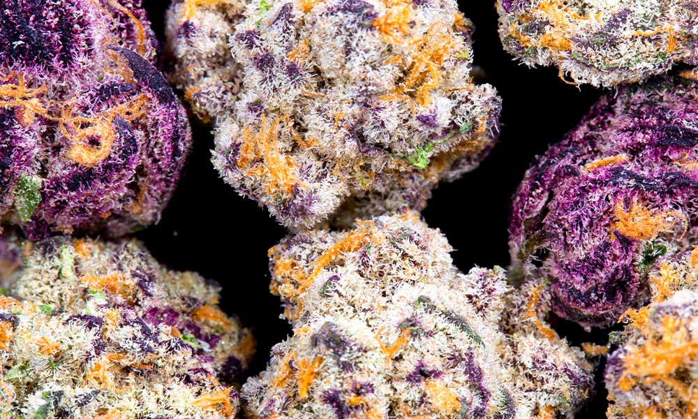 Unlocking Secret Nature CBD’s Healing Power Cannabis Cultivator News