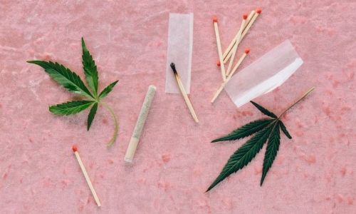 Washington Bill would ban pre-employment drug testing for Cannabis