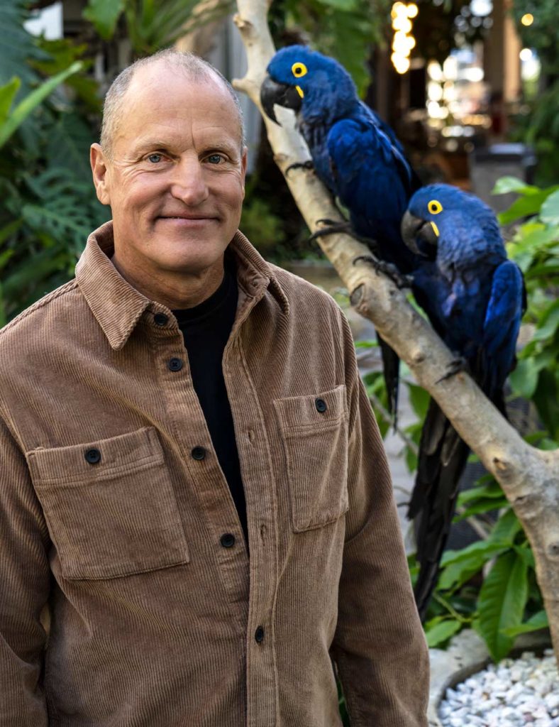 Woody Harrelson with two blue Macaw birds at theWOODS dispensary.