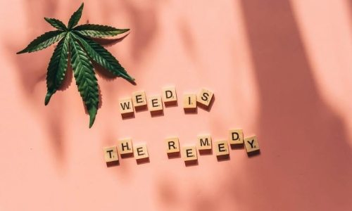 7 years in, what PA doctors still want to know about Medical Marijuana