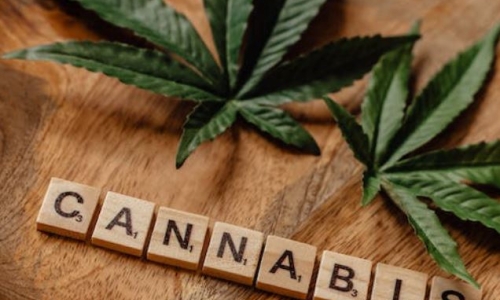 Cannabis opponents voice concerns at public hearing