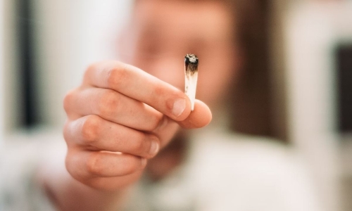 Competition Bureau urges Cannabis Legislation changes to disrupt illicit market in Canada