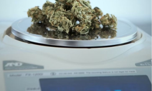 Long Island Cannabis dispensary stuck in zoning limbo