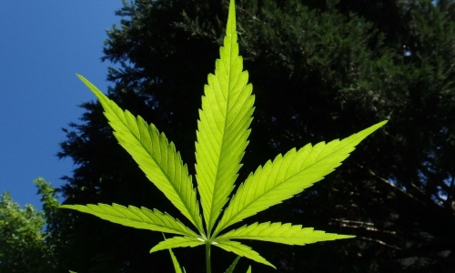 Minnesota becomes 23rd state to legalize Recreational Marijuana