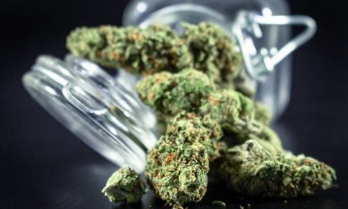 Montana lawmakers approve Cannabis tax bill