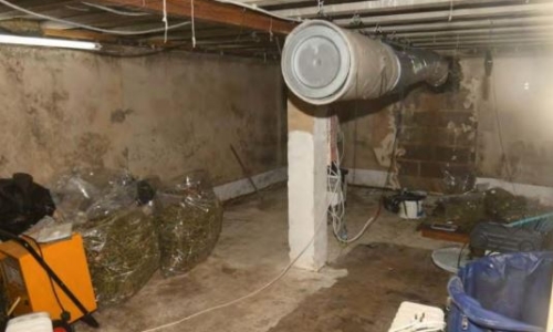 More delay in sentencing Oxford Cannabis bunker case