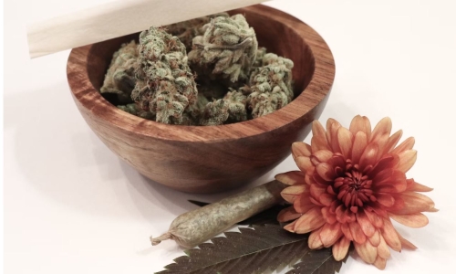 NC Senate medical marijuana bill gains ally in Forsyth County Rep Donny Lambeth