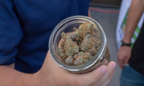 NY poised to crack down on illegal marijuana shops