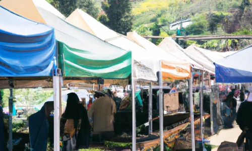 New York regulators pledge to open Cannabis farmers markets 'quickly'