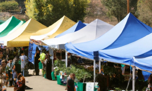 New York regulators will launch Cannabis farmers markets ‘within a month’