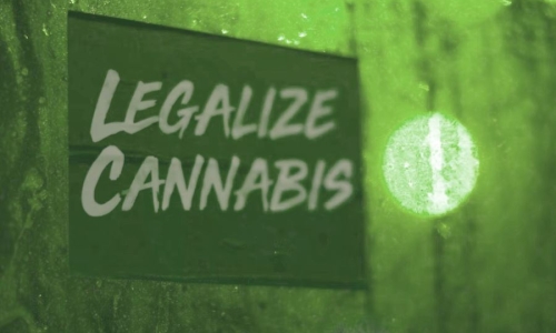 Senate kills Cannabis legalization efforts