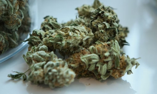 Some NC House members warm to Medical Marijuana, but the bill’s outlook remains hazy