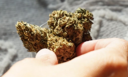 Weed stores could face exponentially higher license renewal fees under new bill