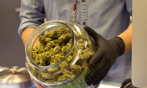 Arizona dispensaries recalling marijuana products over salmonella, aspergillus contamination