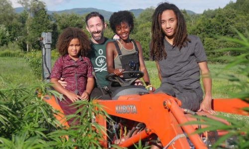 As New Hampshire considers Cannabis Legalization, economic justice fades from view