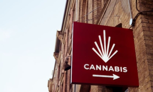Authorities raid NY shops allegedly selling black-market Cannabis